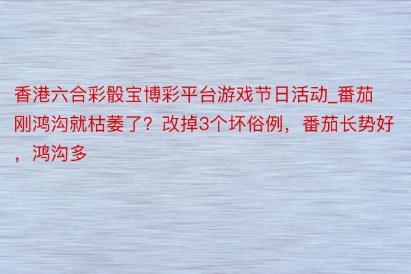 香港六合彩骰宝博彩平台游戏节日活动_番茄刚鸿沟就枯萎了？改掉3个坏俗例，番茄长势好，鸿沟多